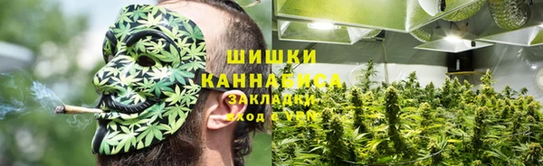 mdpv Вяземский