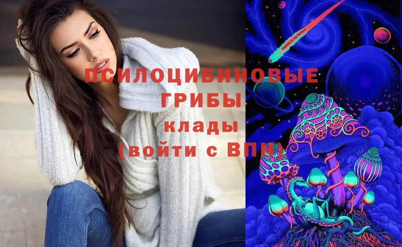 Псилоцибиновые грибы Cubensis Георгиевск