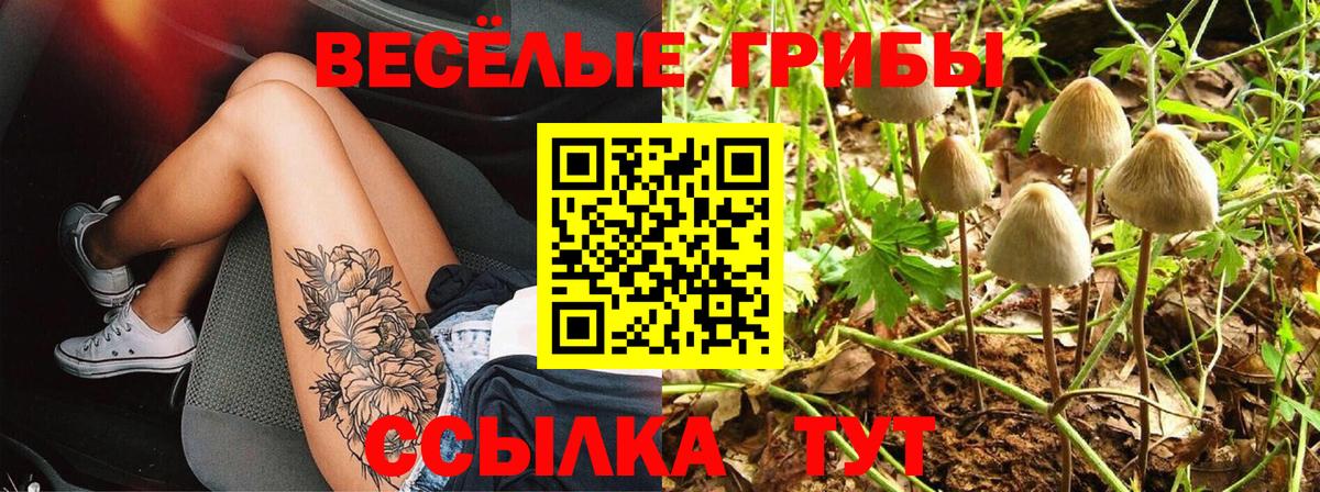 Галлюциногенные грибы ЛСД Георгиевск