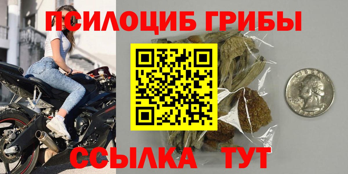 Георгиевск  Галлюциногенные грибы прущие грибы  Вход с VPN 
